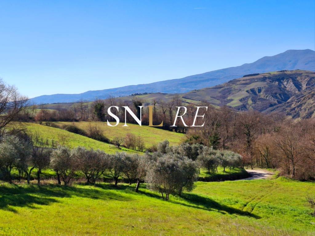 Rustico / casale a San casciano dei bagni in Podere La Casetta - Foto 2