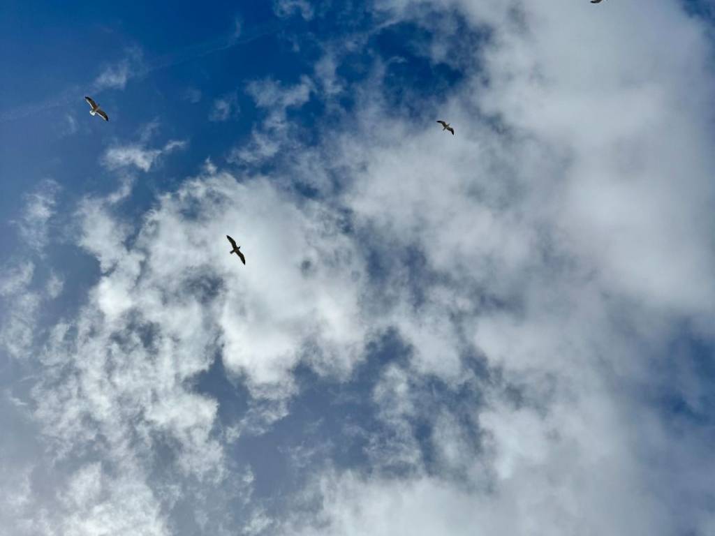 Appartamento a Castellabate in Viale dei Cantieri Navali - Foto 4