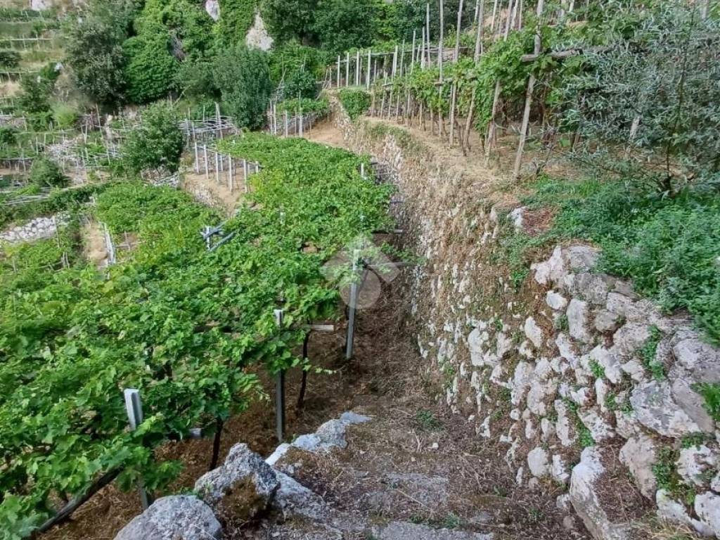 Casa indipendente a Furore in Via Pizzocorvo, 10 - Foto 5