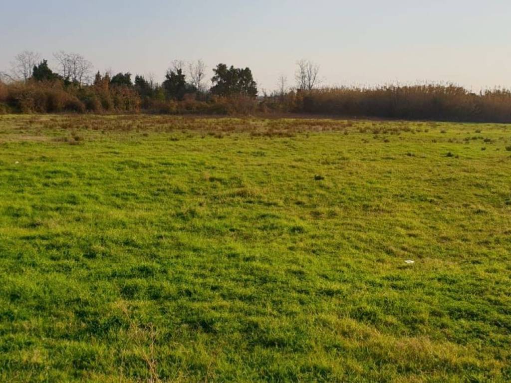 Terreno a Giffoni valle piana in Via degli agrumi, 1 - Foto 4