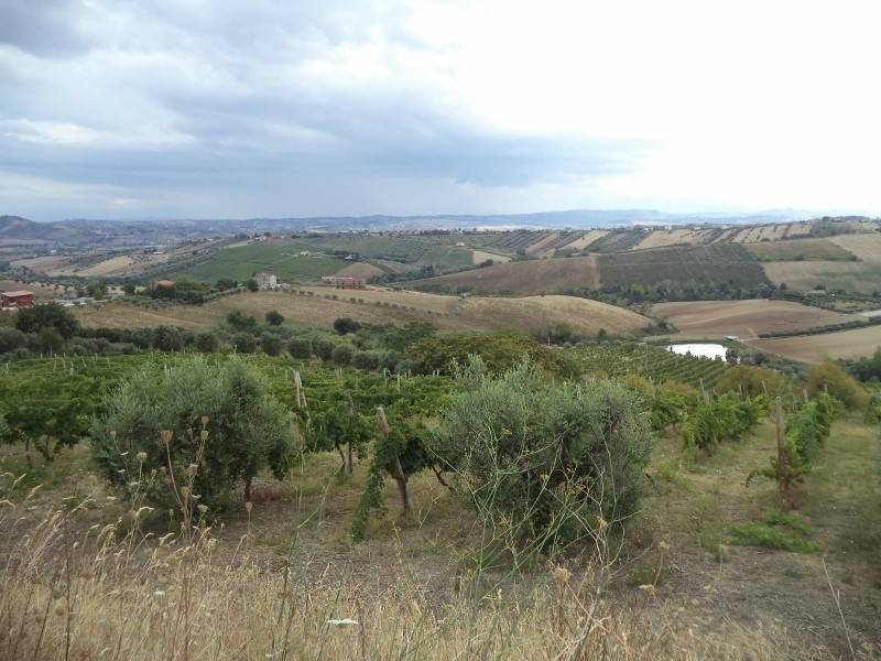 Terreno a Colonnella - Foto 4