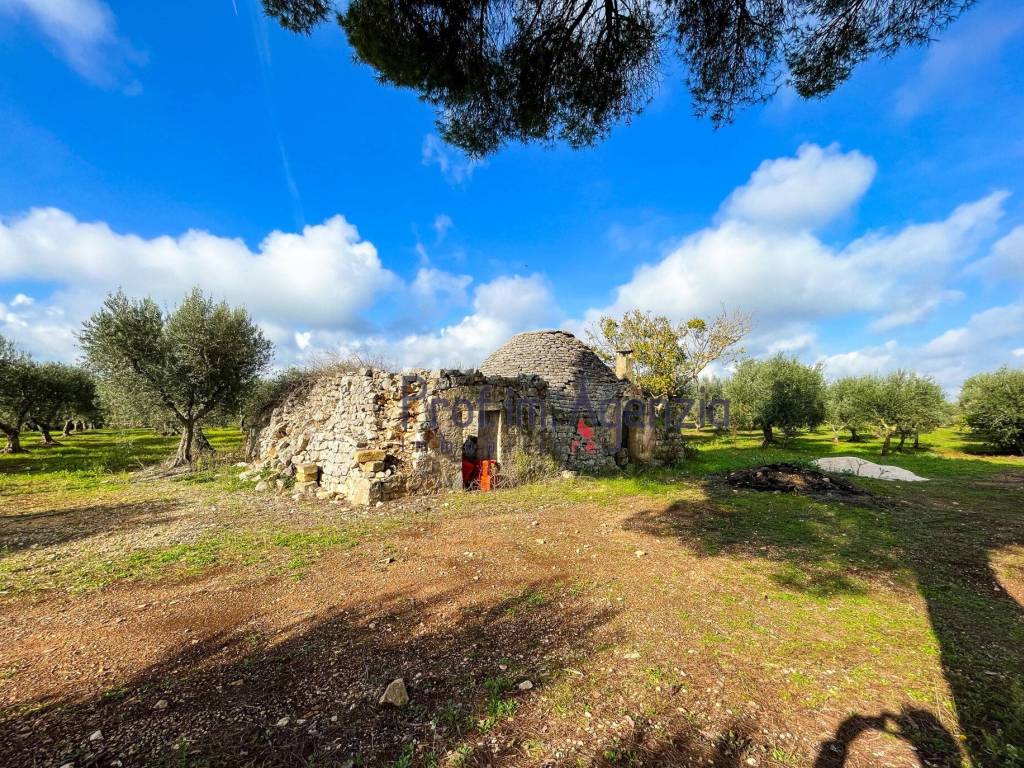 Rustico / casale a Ceglie messapica - Foto 2