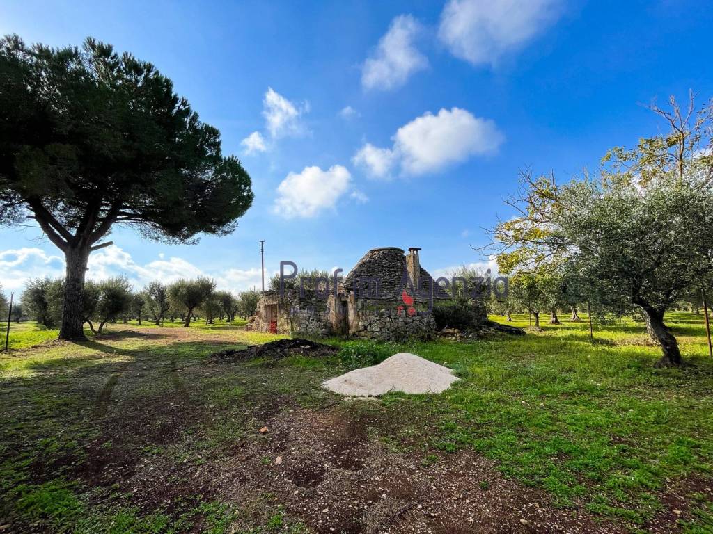 Rustico / casale a Ceglie messapica - Foto 3