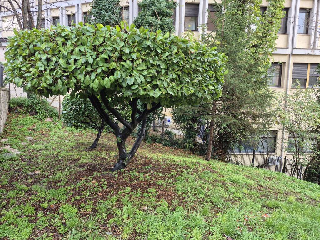 Appartamento a Potenza in Viale Guglielmo Marconi, 41 - Foto 4
