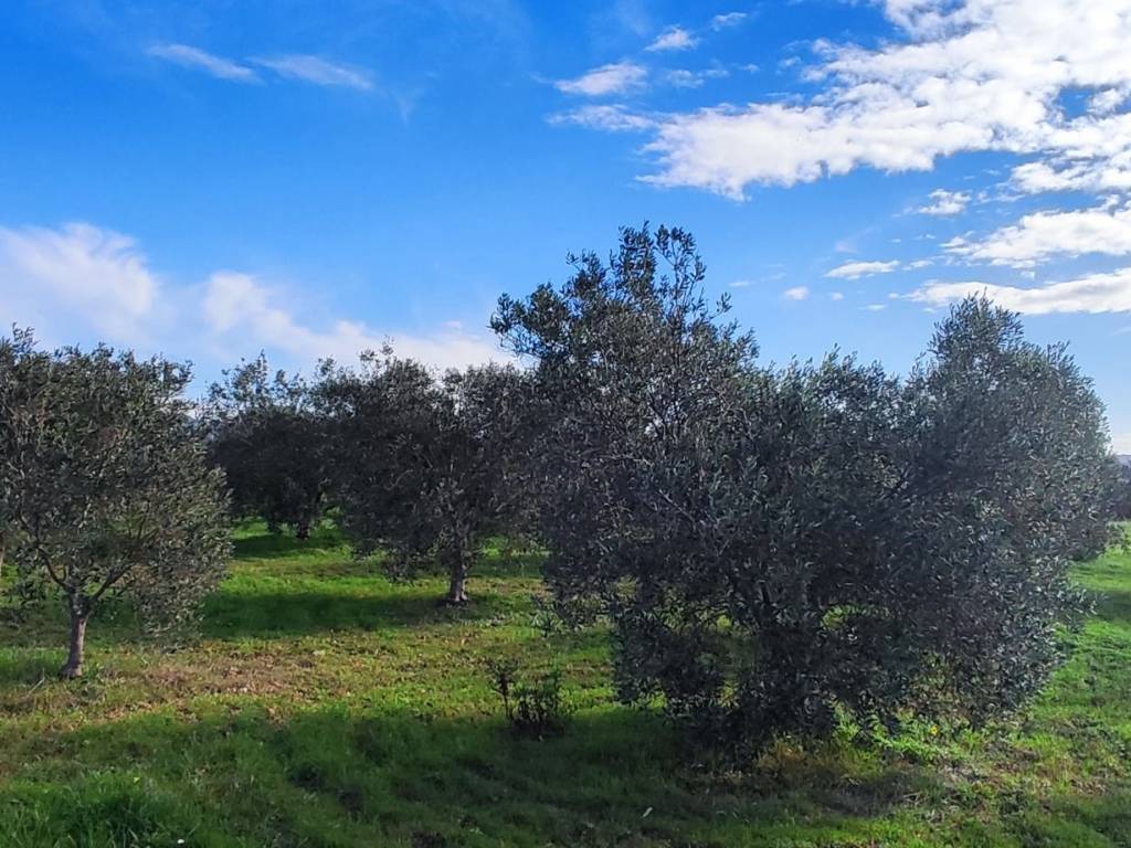 Casa indipendente a Sant'anna arresi in Via Carbonia - Foto 4