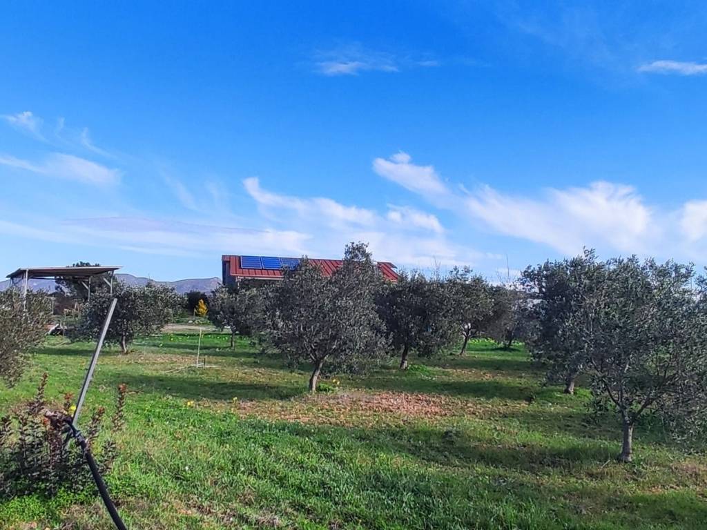 Casa indipendente a Sant'anna arresi in Via Carbonia - Foto 5