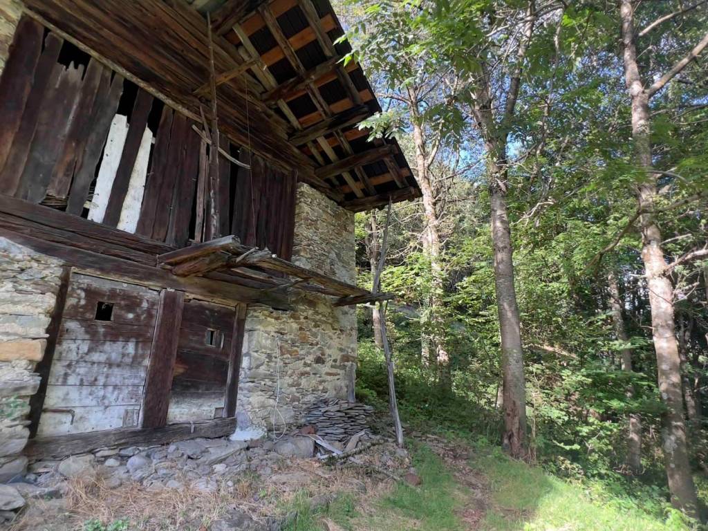 Rustico / casale a Pedesina in Via Colvedra, 1 - Foto 3