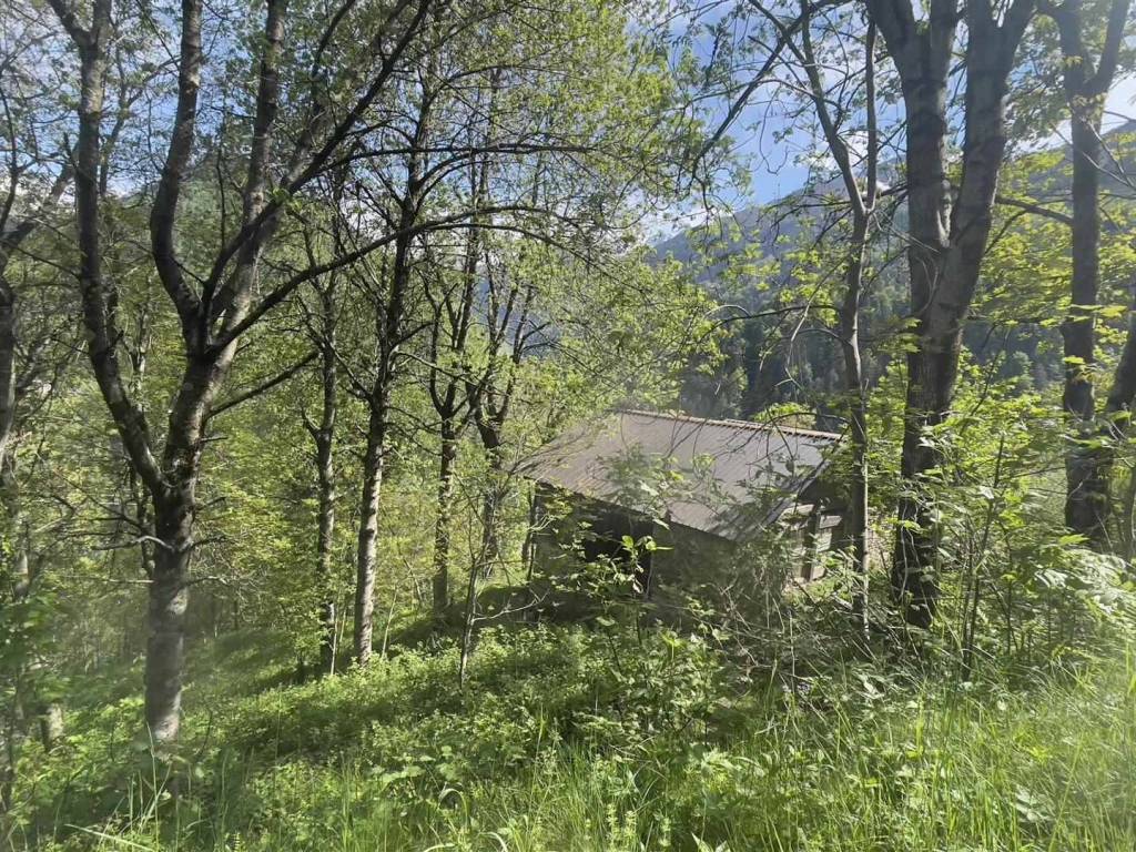 Rustico / casale a Pedesina in Via Colvedra, 1 - Foto 4