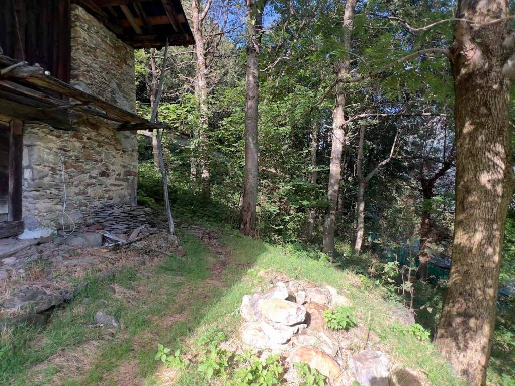 Rustico / casale a Pedesina in Via Colvedra, 1 - Foto 5