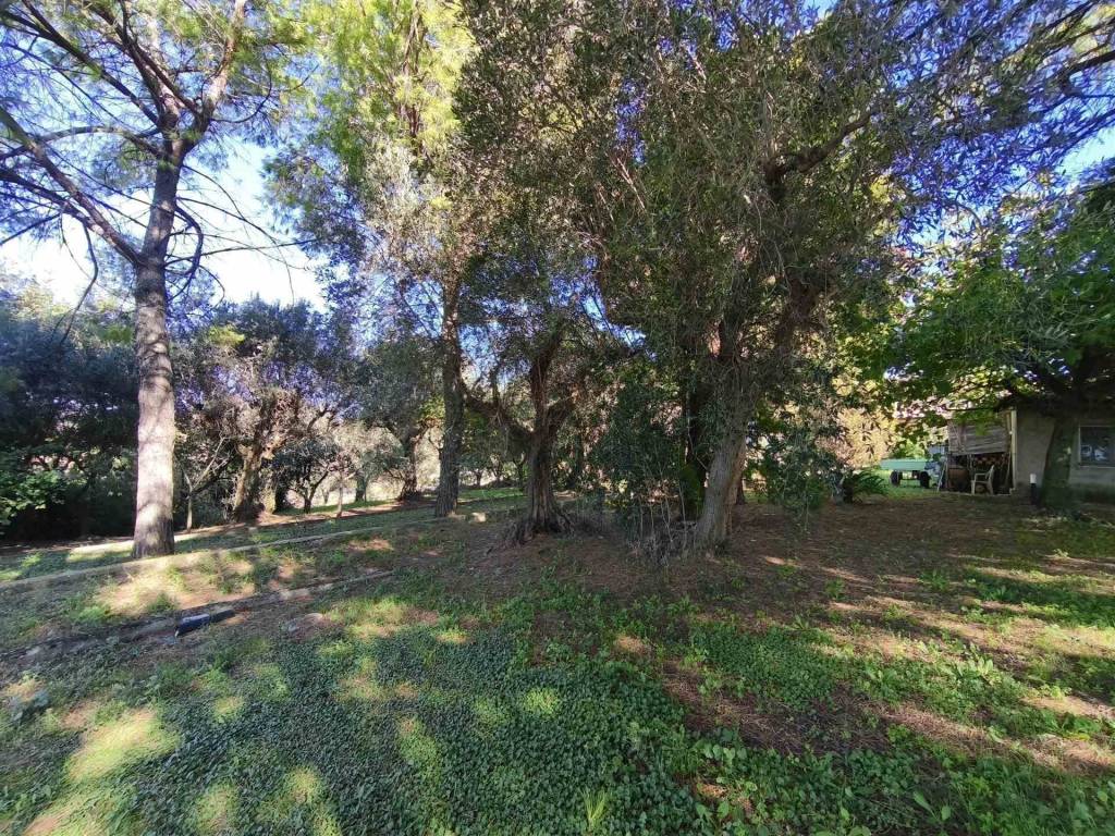 Villa a Coriano - Foto 4