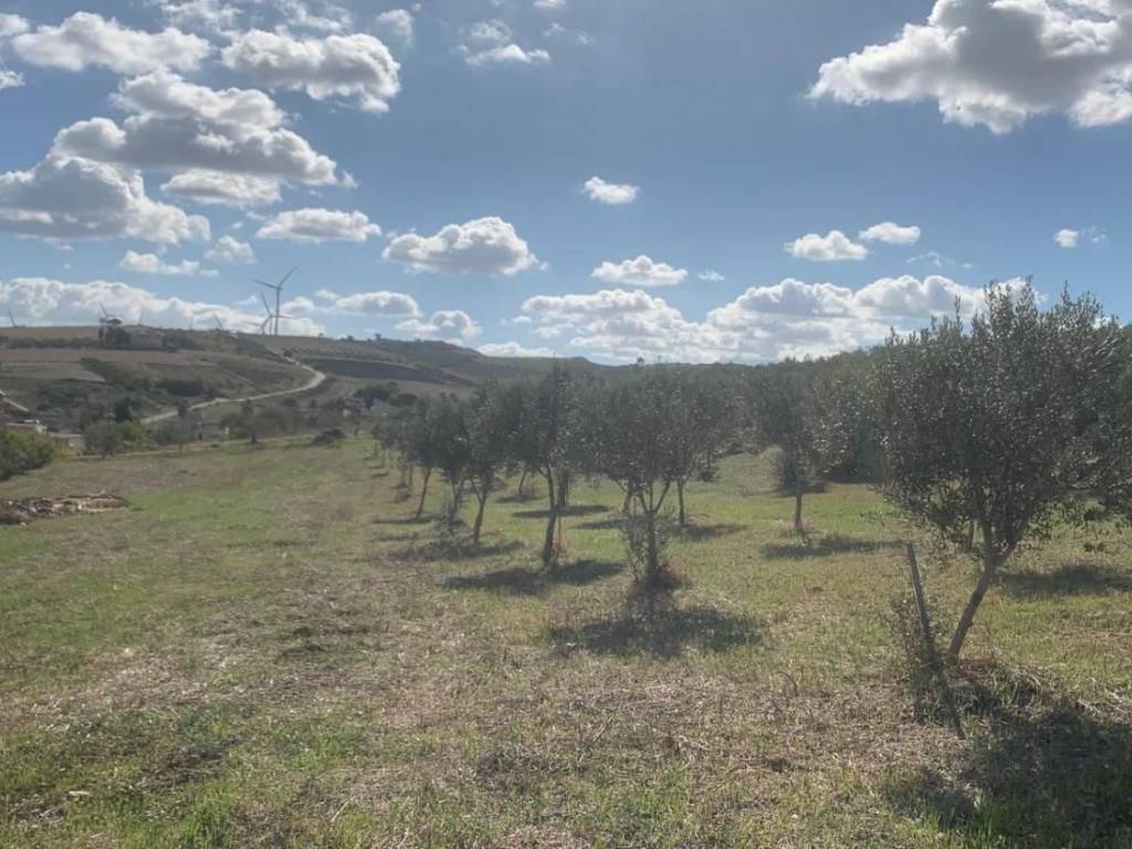 Casa indipendente a Valderice in Via soria, 110 - Foto 3