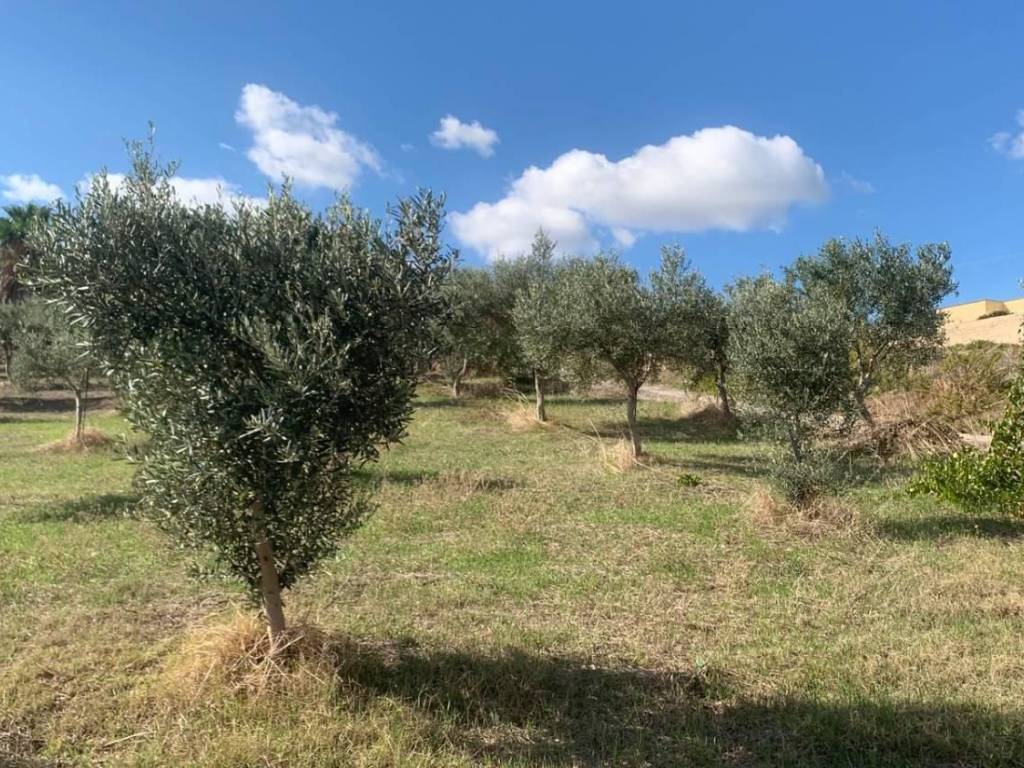 Casa indipendente a Valderice in Via soria, 110 - Foto 4