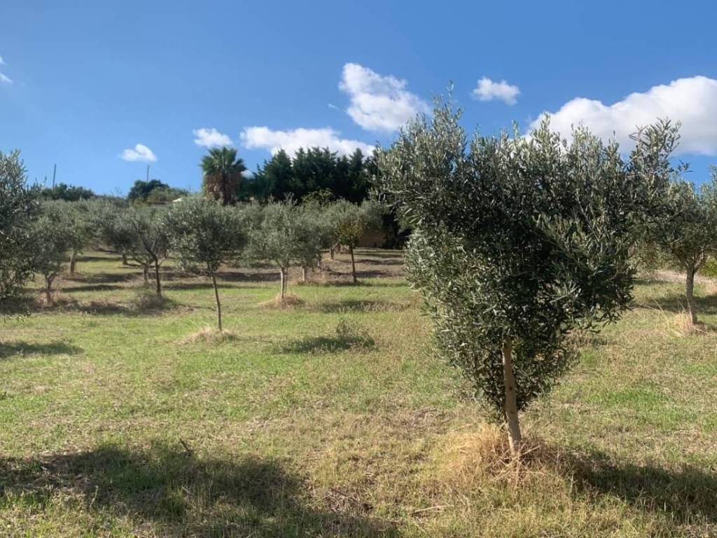 Casa indipendente a Valderice in Via soria, 110 - Foto 5