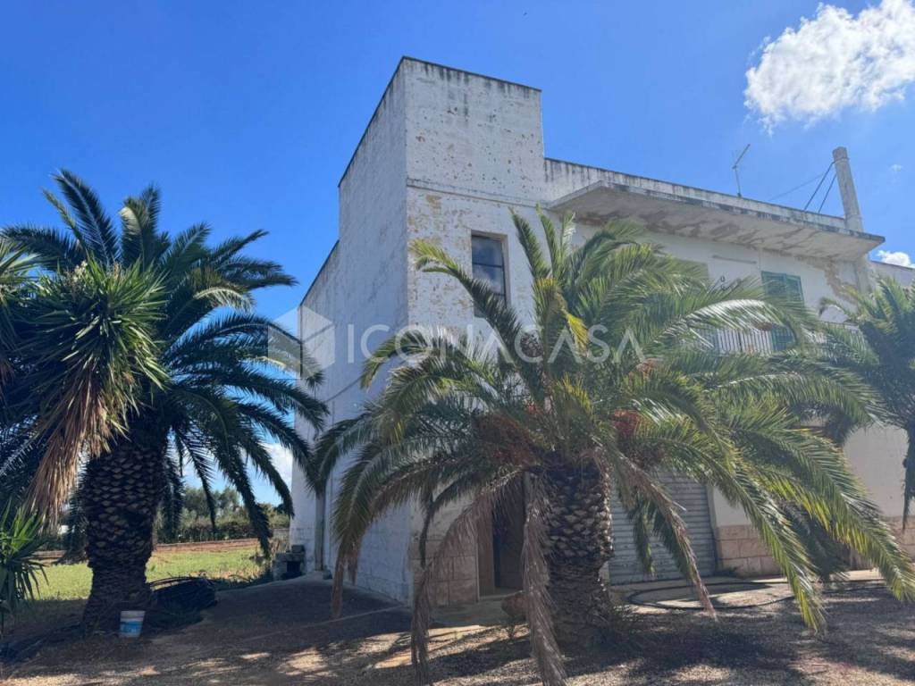 Rustico / casale a Monopoli in Contrada Lamalunga - Foto 4