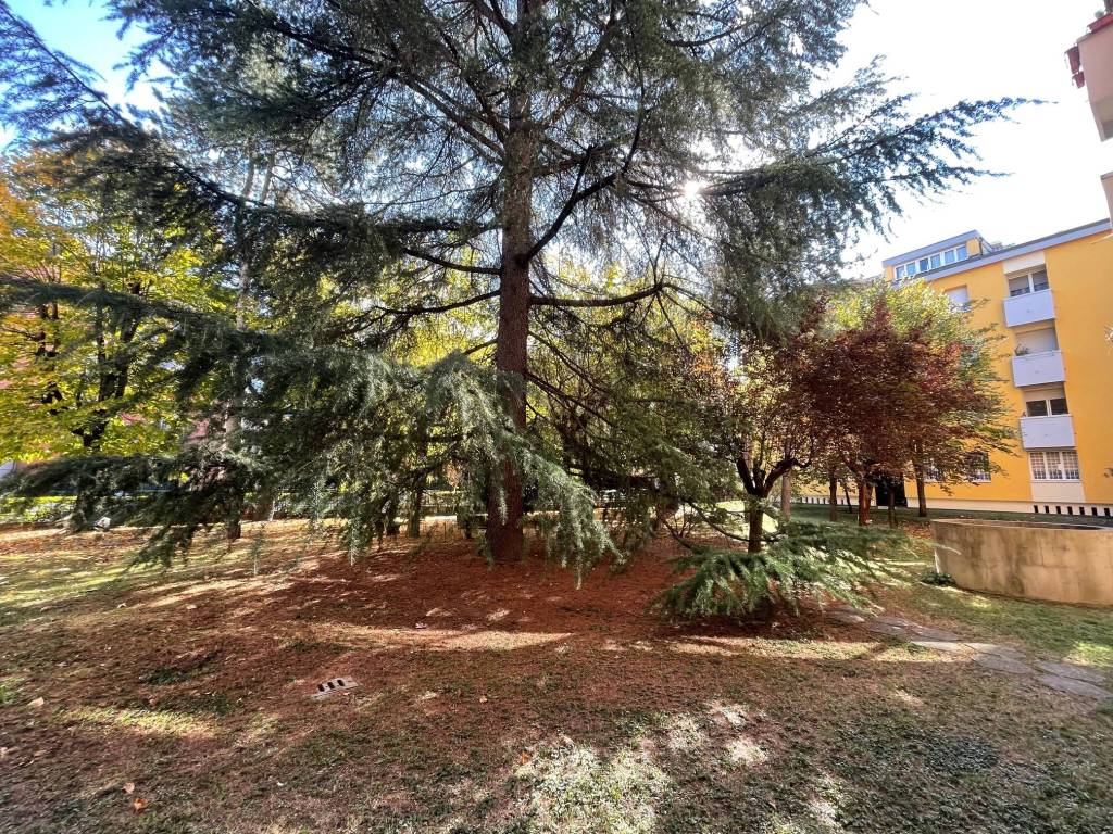 Appartamento a Casalecchio di reno in Via Ferdinando Magellano, 8 - Foto 5
