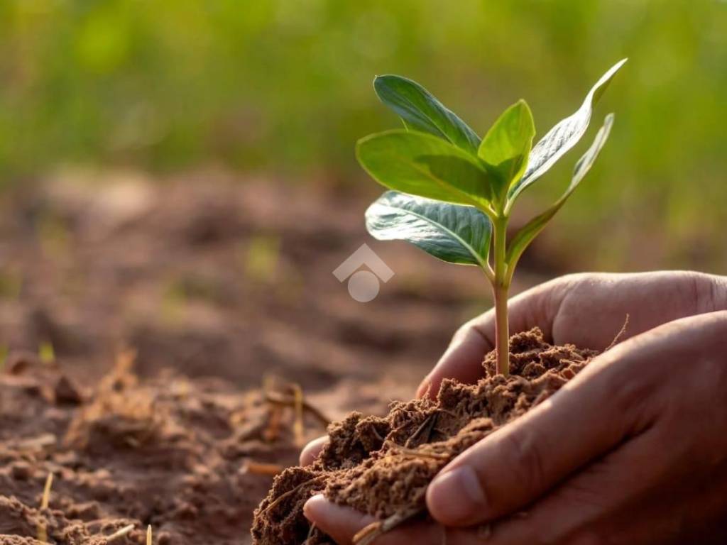 Terreno a Castelvetrano in Via Trenta Salme - Foto 2