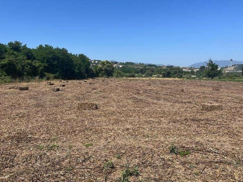 Terreno a Benevento in Contrada Piano Morra - Foto 5