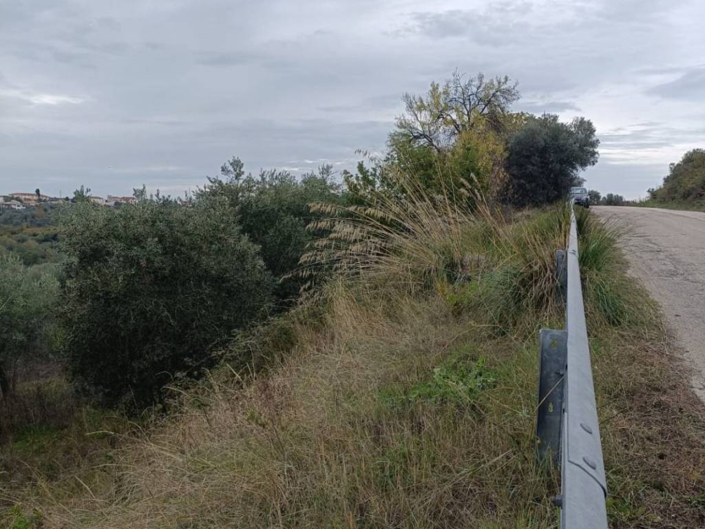 Terreno a Ortona - Foto 3