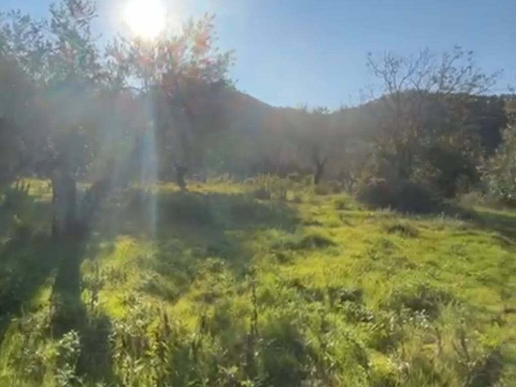 Terreno a Montemurlo in Via Bagnolo di Sopra - Foto 2