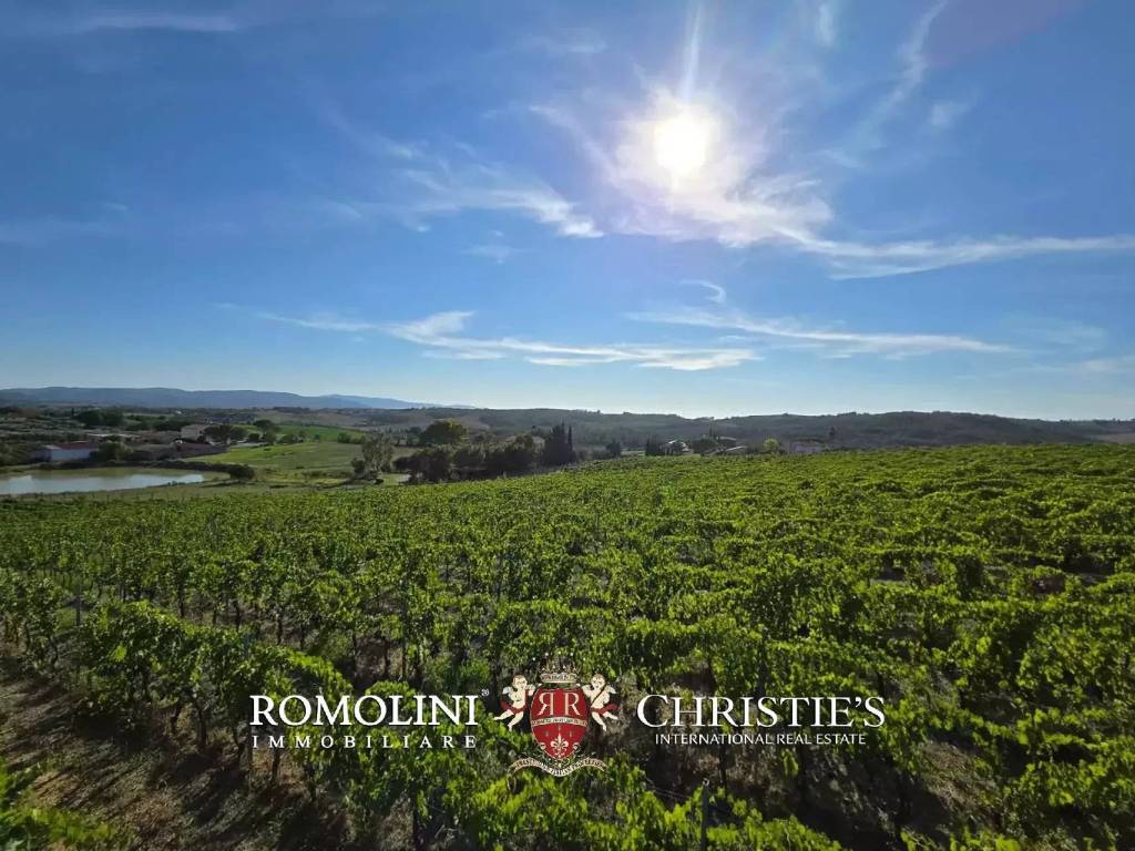 Villa a Magliano in toscana - Foto 3