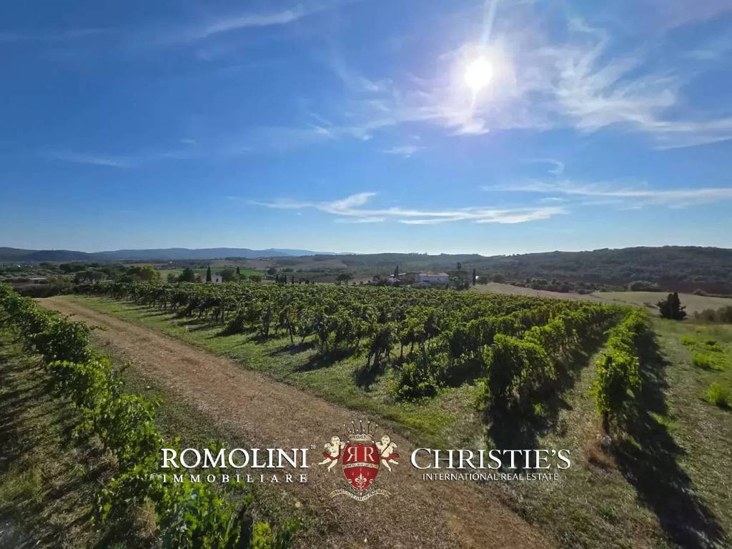 Villa a Magliano in toscana - Foto 4