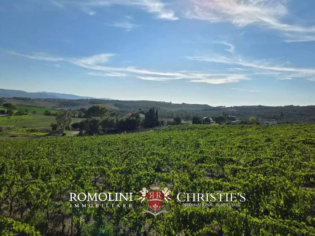 Villa a Magliano in toscana - Foto 5