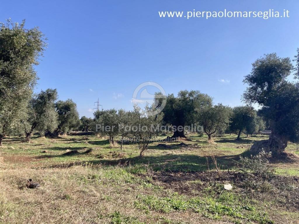 Rustico / casale a Ostuni in Contrada San Lorenzo - Foto 2