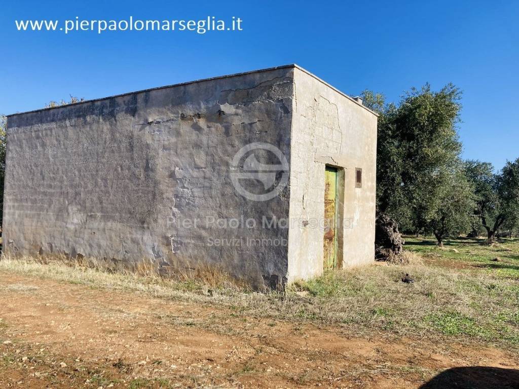 Rustico / casale a Ostuni in Contrada San Lorenzo - Foto 3