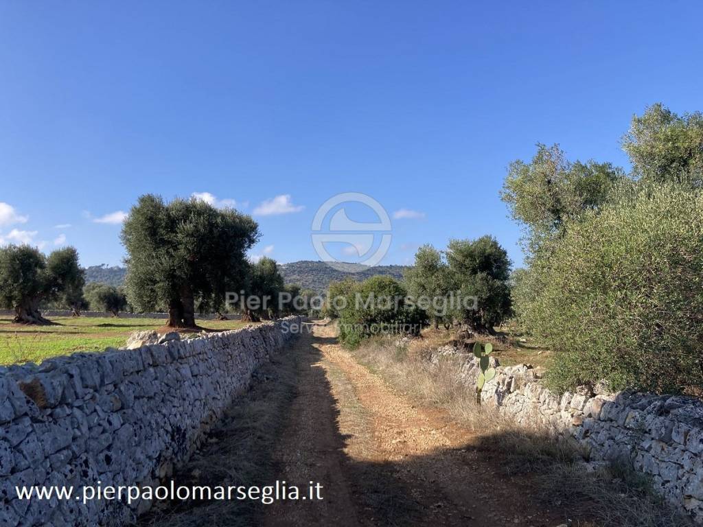 Rustico / casale a Ostuni in Contrada San Lorenzo - Foto 4