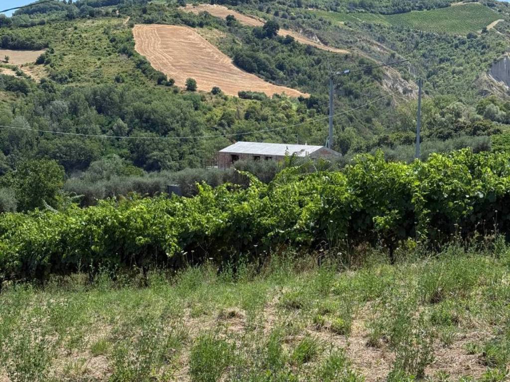 Rustico / casale a Ripatransone in Collevecchio - Foto 2
