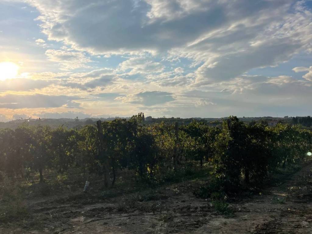 Rustico / casale a Cupra marittima in CONTRADA SANT'ANDREA - Foto 4