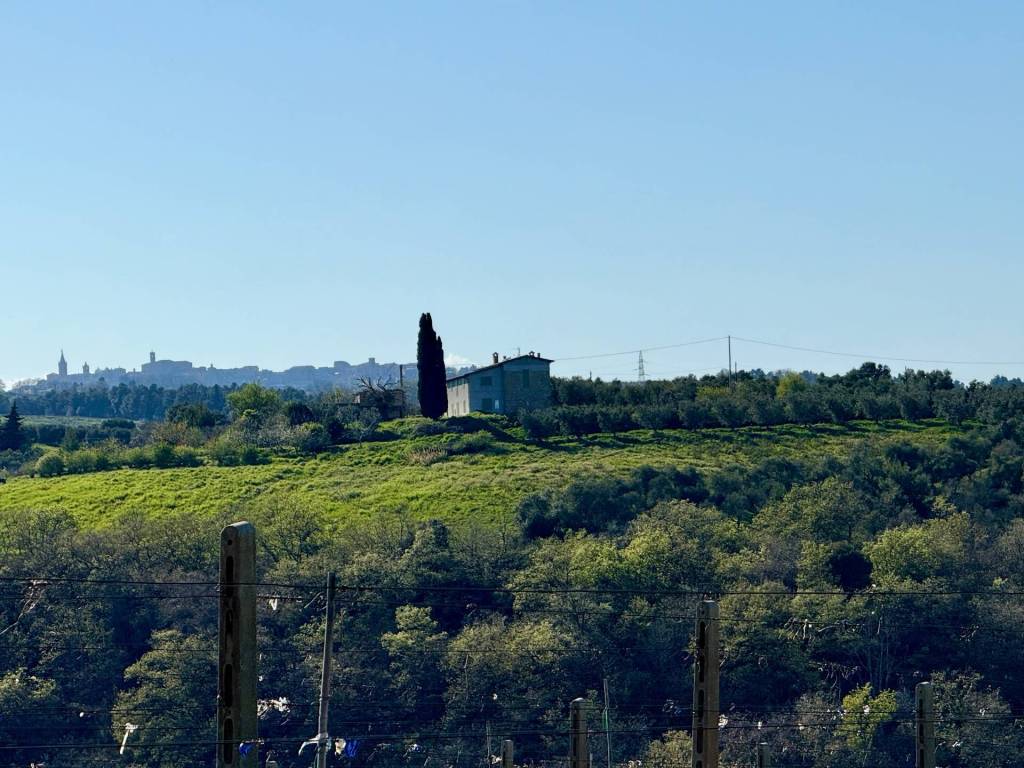 Rustico / casale a Ripatransone in Quercia Ferrata - Foto 2