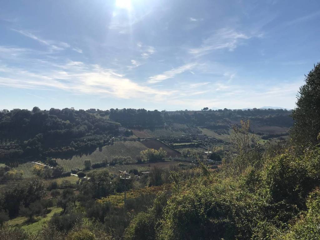 Casa indipendente a Campofilone in Campofilone, cimitero - Foto 5