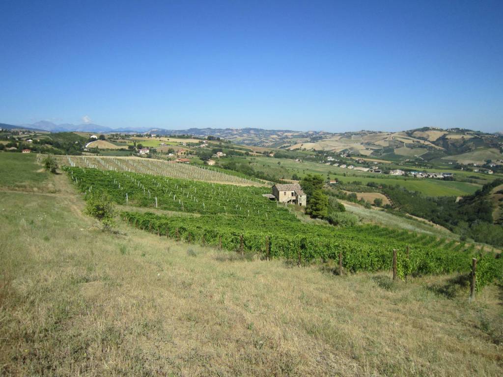 Rustico / casale a Offida in Borgo Miriam - Foto 2