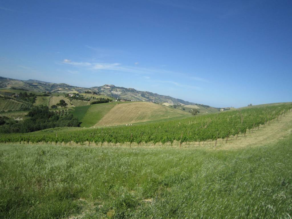 Rustico / casale a Offida in Borgo Miriam - Foto 4