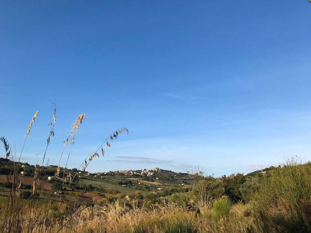 Terreno a San benedetto del tronto in Zona Collinare, ragnola - Foto 4