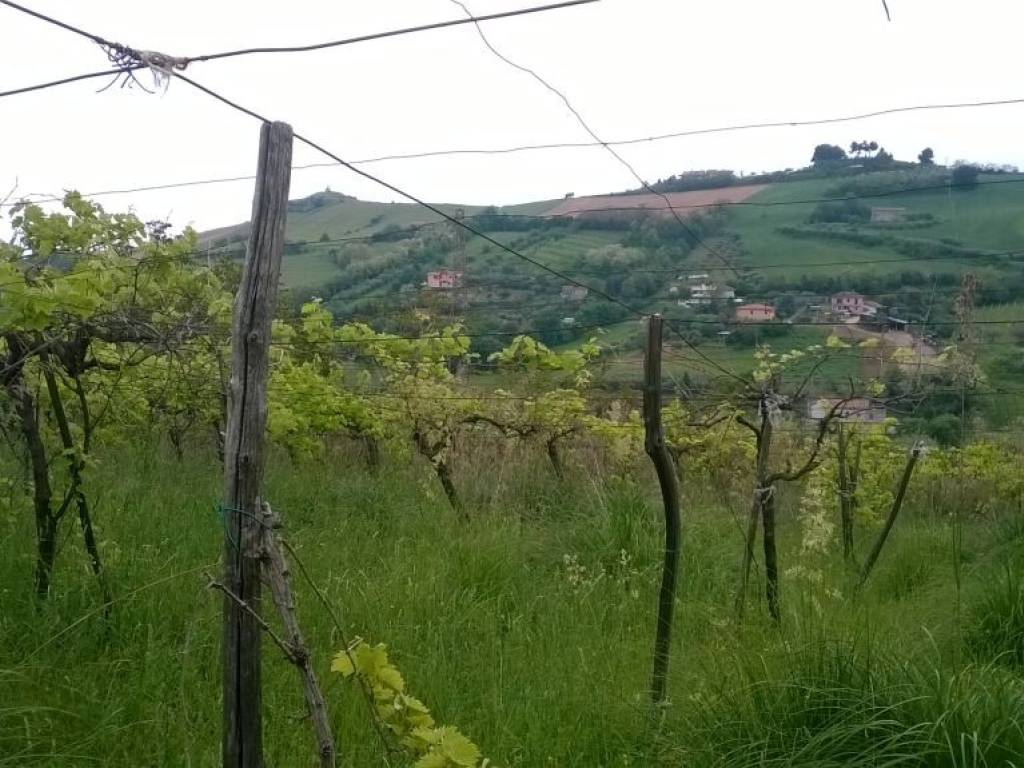 Terreno a San benedetto del tronto in Zona Collinare, ragnola - Foto 5