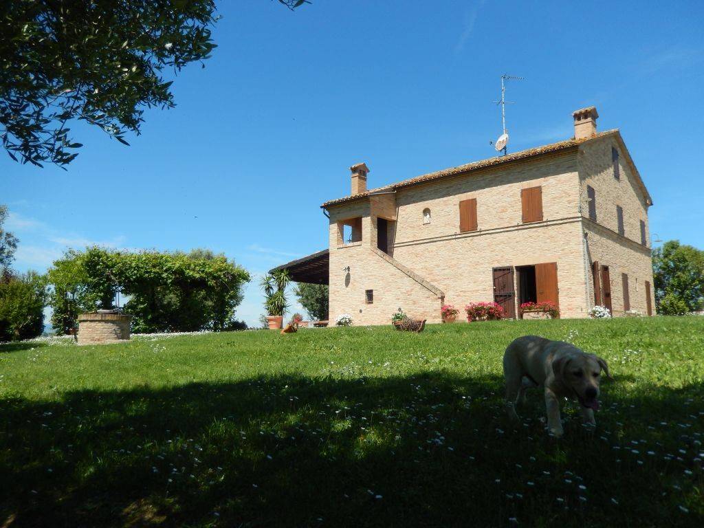 Rustico / casale a Montelupone in Montelupone - Foto 2