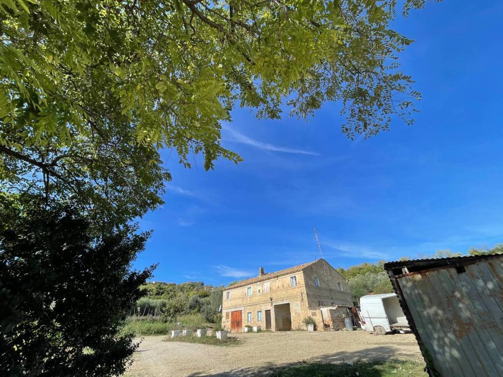 Rustico / casale a Altidona - Foto 3