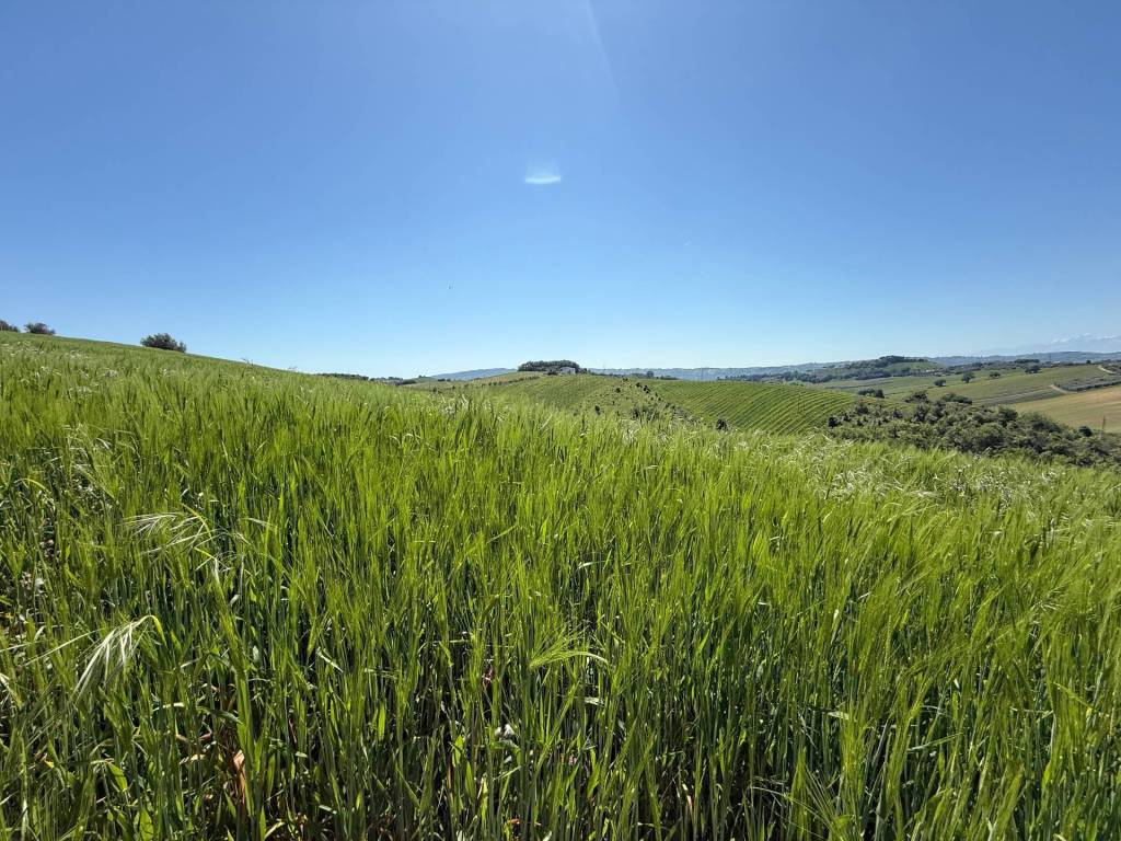 Rustico / casale a Monteprandone - Foto 2