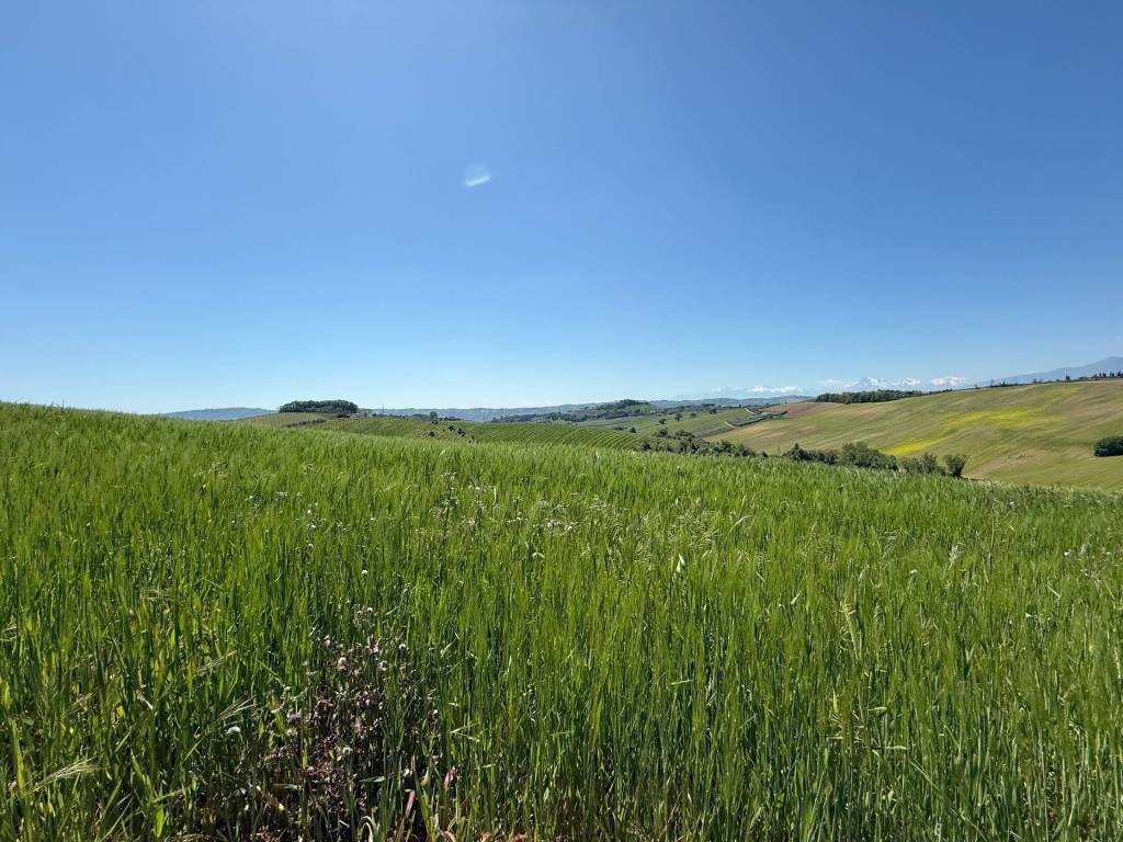 Rustico / casale a Monteprandone - Foto 3