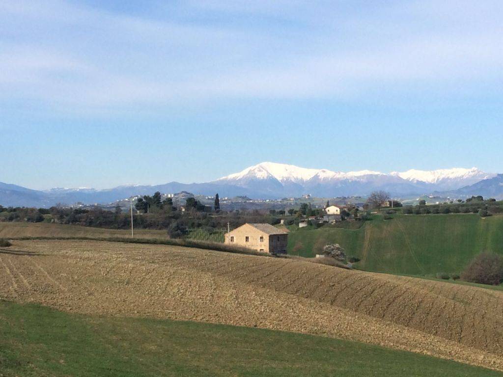 Rustico / casale a Monteprandone - Foto 5