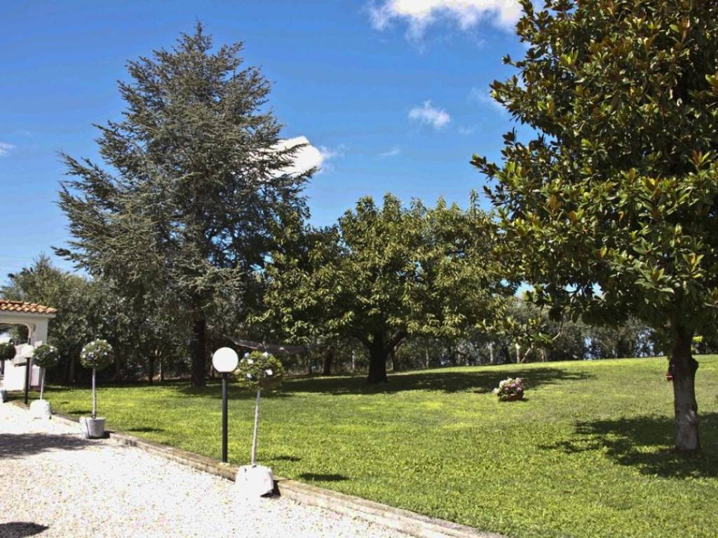 Casa indipendente a Cupra marittima in Contr.da Sant'Andrea - Foto 3