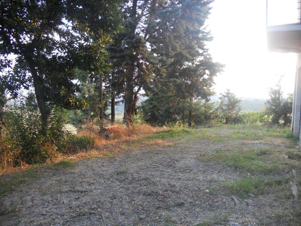 Rustico / casale a Offida in contrada Lava - Foto 5