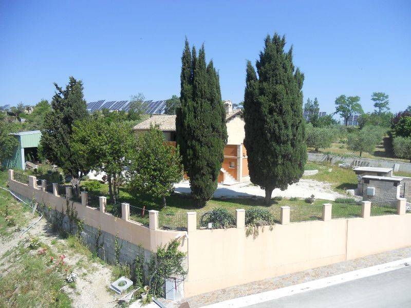 Rustico / casale a Offida in offida - Foto 2