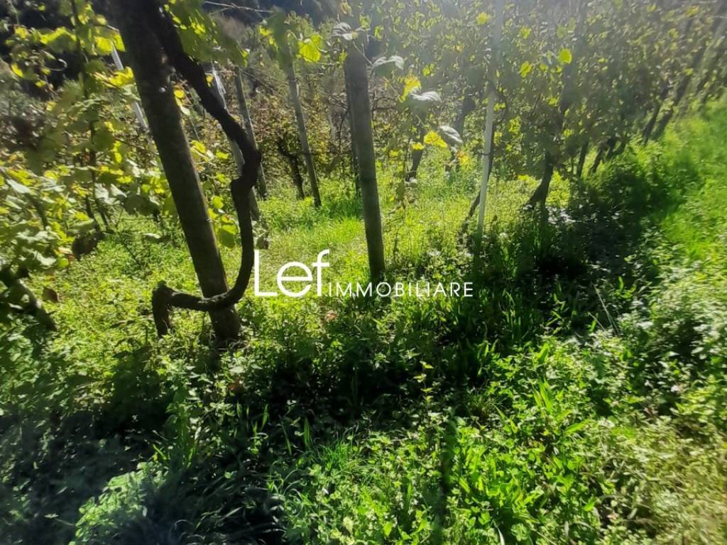 Terreno a Follina in Via Pian di Guarda - Foto 3