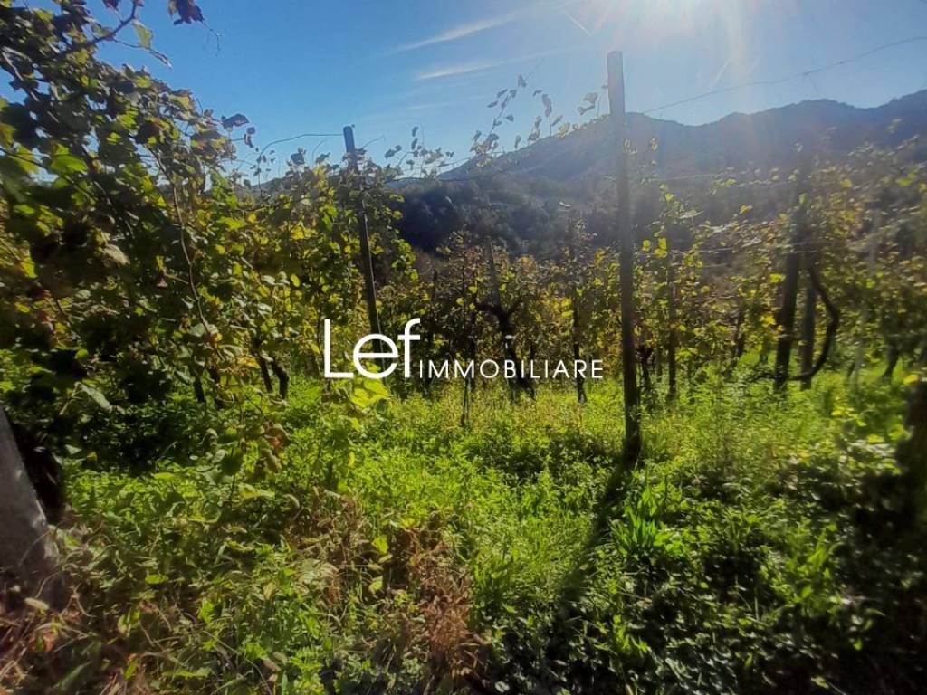 Terreno a Follina in Via Pian di Guarda - Foto 4