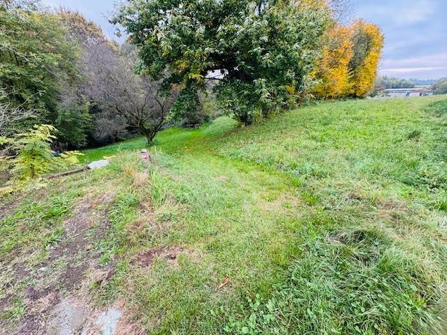Terreno a Colverde in Località Bernaschina - Foto 4