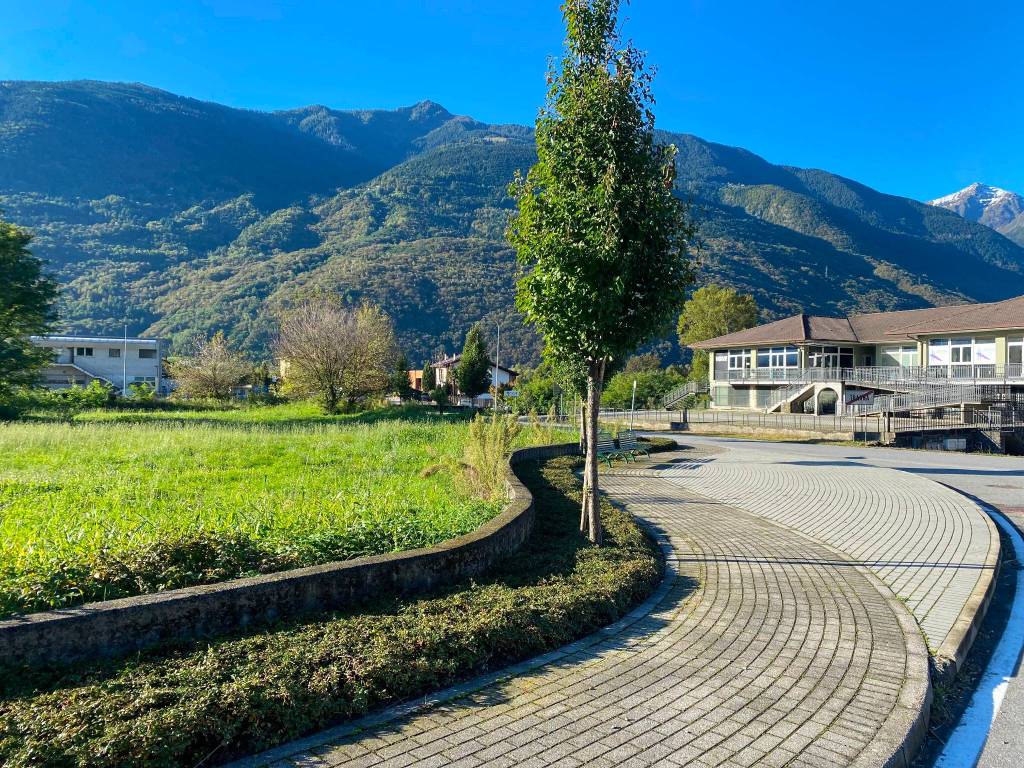 immagine di copertina