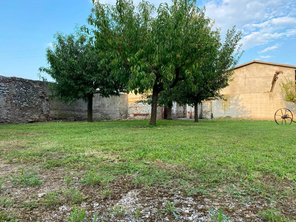Rustico / casale a Cittadella - Foto 4